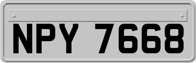 NPY7668
