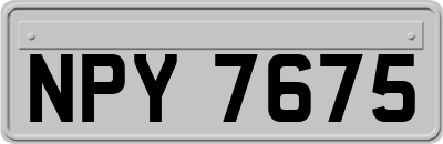 NPY7675
