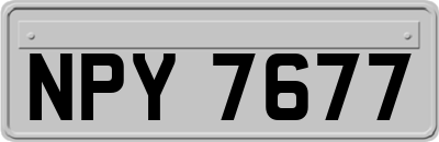 NPY7677