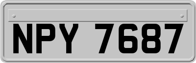 NPY7687