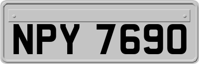 NPY7690