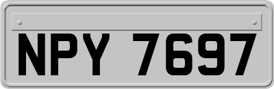 NPY7697