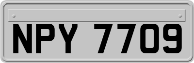 NPY7709