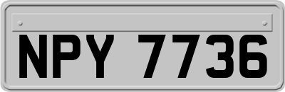 NPY7736