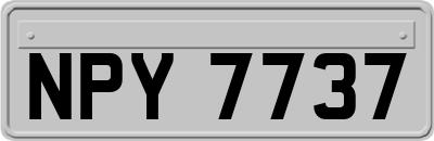 NPY7737