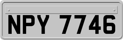 NPY7746
