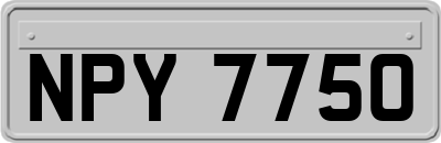 NPY7750