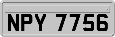 NPY7756
