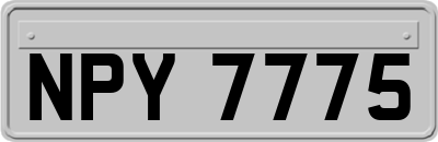 NPY7775