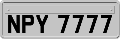 NPY7777