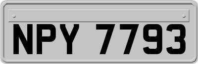 NPY7793