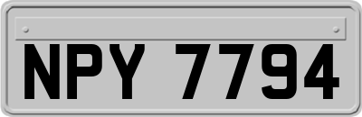 NPY7794