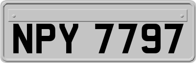 NPY7797