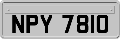 NPY7810