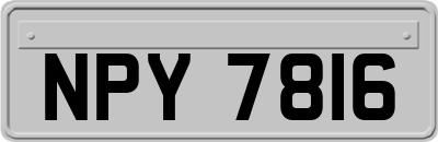 NPY7816