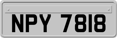 NPY7818