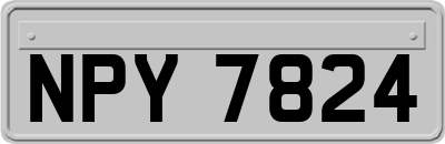 NPY7824