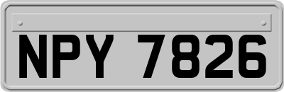NPY7826