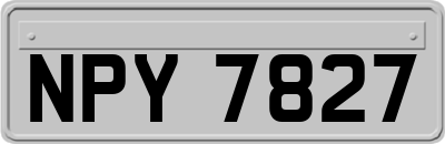 NPY7827