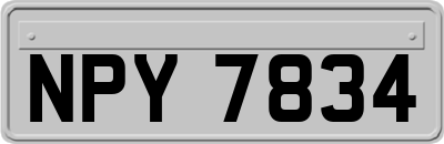NPY7834