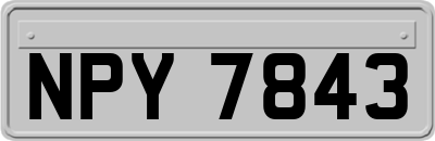NPY7843