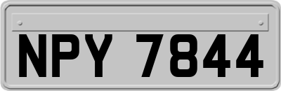 NPY7844