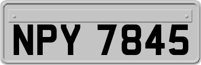 NPY7845