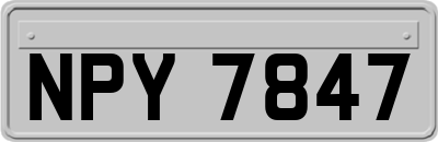 NPY7847