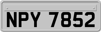 NPY7852
