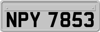 NPY7853