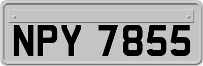 NPY7855