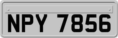 NPY7856