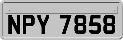 NPY7858