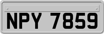 NPY7859