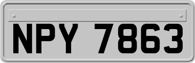 NPY7863
