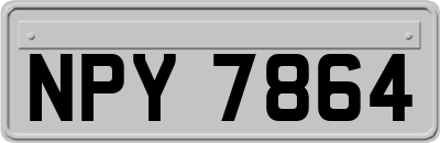NPY7864
