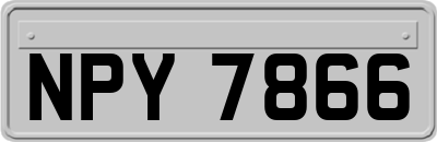 NPY7866