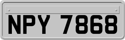 NPY7868