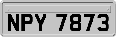 NPY7873