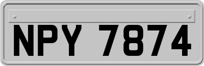 NPY7874