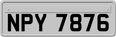 NPY7876