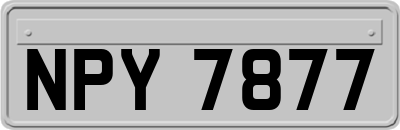 NPY7877