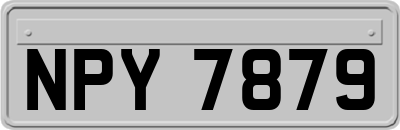 NPY7879