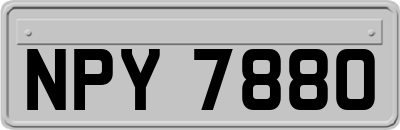 NPY7880