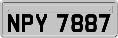 NPY7887