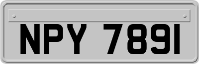 NPY7891