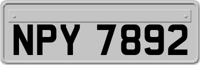 NPY7892