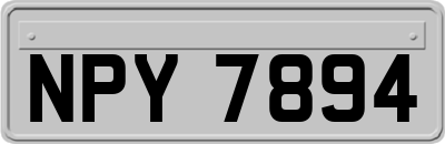 NPY7894