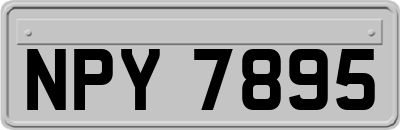 NPY7895
