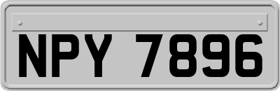 NPY7896